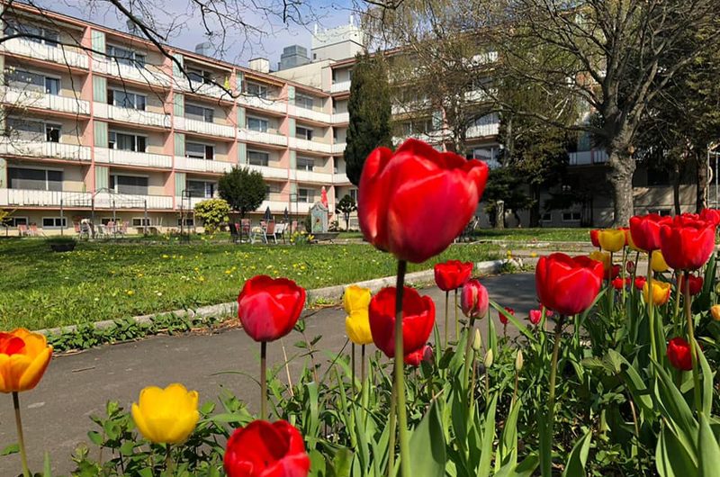 Pflegeheim Ärzteheim Betriebsges.m.b.H. – Außenansicht