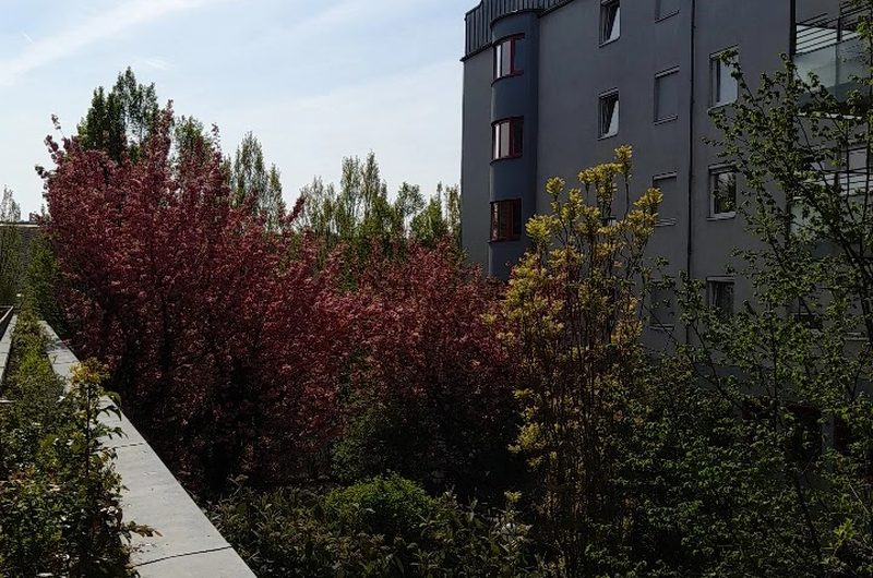 CS Rennweg, CS Caritas Socialis