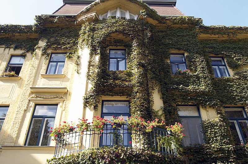 Haus Schönbrunn,  Pflegewohnhaus, Caritas der Erzdiözese Wien