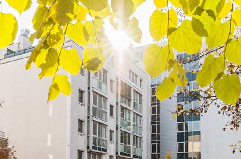 Schlosspark Fortuna, Kuratorium Fortuna