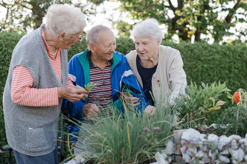 SeneCura Pflegezentrum Villach