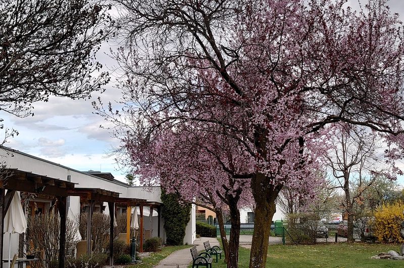 “Wie daham…” Generationenpark Welzenegg