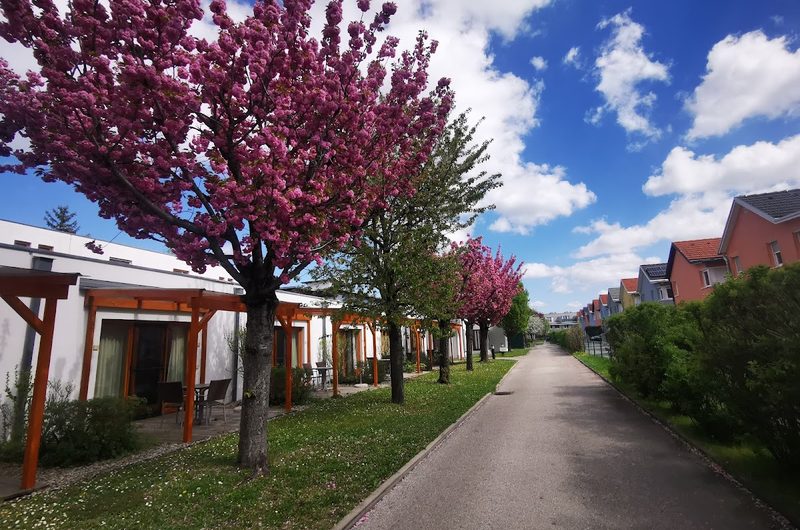 Wie daham... Seniorenschlössl Donaustadt